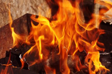 doğa kemikleri fry et sebze yemek brazier ateş