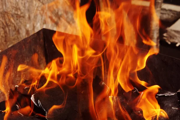 Brand brazier på natur ben stek kött grönsaker kock — Stockfoto