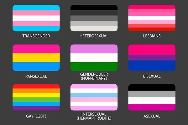 Conjunto de banderas de orgullo LGBT. Gays, lesbianas, asexuales, transexuales, hermafroditas, transexuales, pansexuales, heterosexuales, intersexuales. Banderas de orgullo de identidad sexual. Símbolos oficiales del communit — Archivo Imágenes Vectoriales