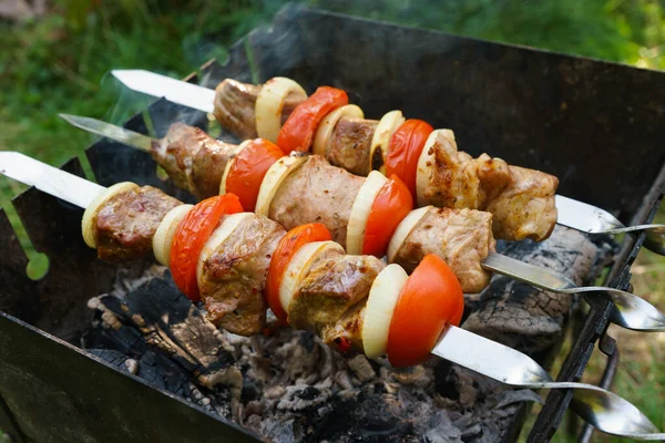 Kebap, metal şiş üzerinde et parçaları, ızgara ateşte pişirilmiş. — Stok fotoğraf