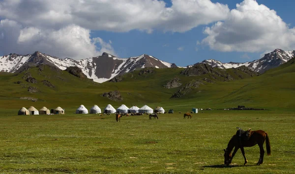 Yurts at Song Kol Lake area, snowy mountains in the background and horses grazing. Cloudy sky.