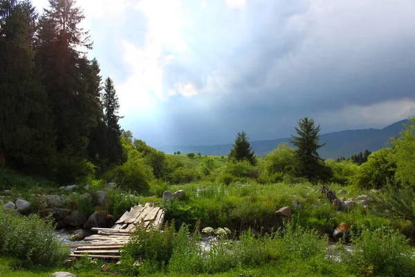Edilişi, fırtınalı bir günde, güzel yeşil alana Chon-Kemin Milli Park'ta yürüyüş yolu Nehri.