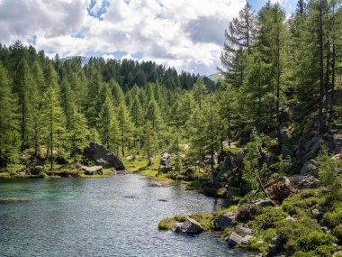 ağaçları ve rock çevrili dağ Gölü