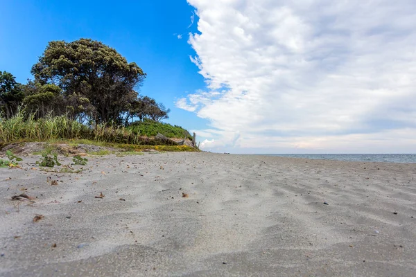 Perspectiva Desde Una Playa Costa Aislada Con Vegetación Que Toca — Foto de Stock