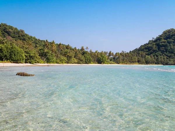 Glimpse of a crystalline sea and a wild vegetation viewed from the side of the sea