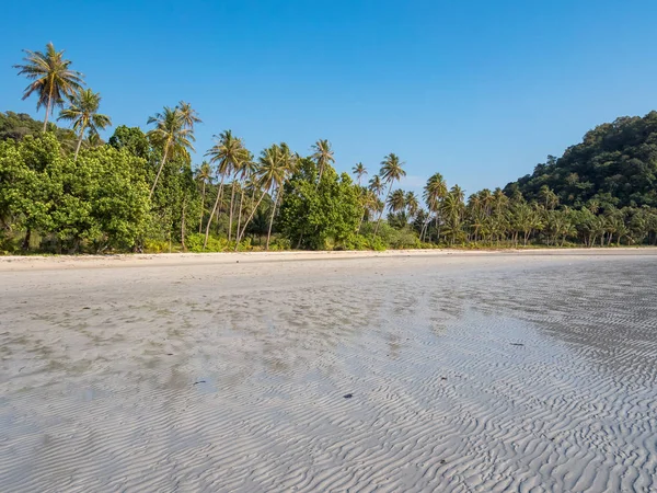 Glimpse of a crystalline sea and a wild vegetation viewed from the side of the sea