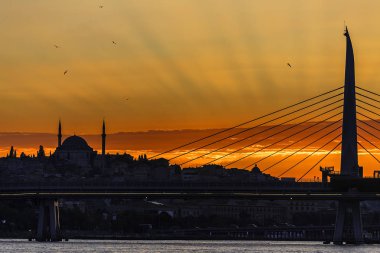 Istanbul şehir yapraklara bir sürü ile Boğaziçi Köprüsü'nden günbatımı ışıkta ve gökyüzündeki martıları şekli