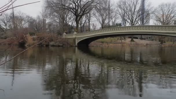 Egy Futó Piros Mezben Vonattal Áthalad Egy Hídon Egy Felett — Stock videók