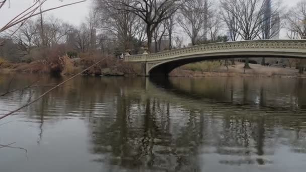 People Walk Bridge Little Lake Central Park Water Surface Reflecting — Stock Video