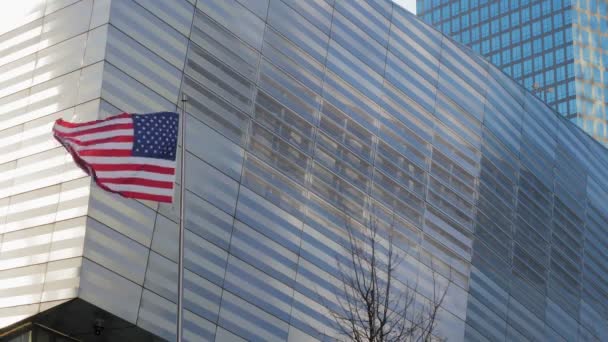 Amerikan Bayrağı Dalgalanıyor Sırtında Metalik Bir Yapı Yanında Bir Ağaç — Stok video