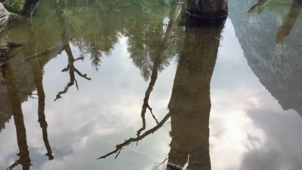 Дикі Пейзажі Природи Деревами Горами Відображені Тілі Води Мертвим Стовбуром — стокове відео