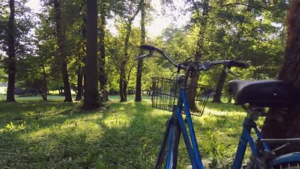 Солнечный Расслабляющий Летний День Парке Деревьями Голубом Велосипеде Долли Выстрелила — стоковое видео