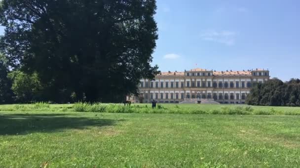 Monza Augusti 2019 Ung Smal Man Blå Skjorta Joggar Gräsmattan — Stockvideo