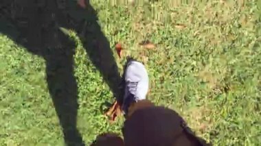 Bir adam, güneşli bir öğleden sonra gölgesiyle, bacaklarının manzarasıyla çimlerde hızla koşar.