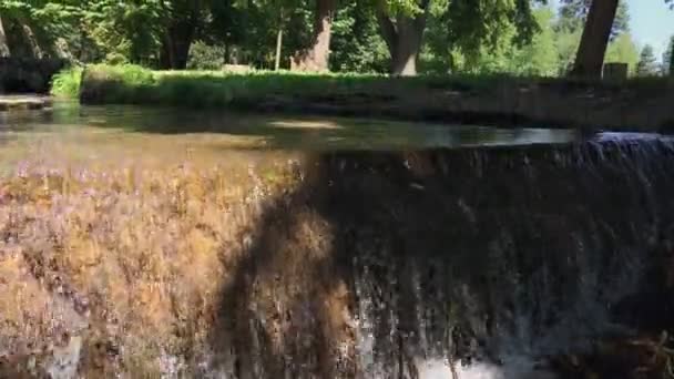 Câmera Sobe Cachoeira Pequeno Córrego Parque Dia Ensolarado — Vídeo de Stock