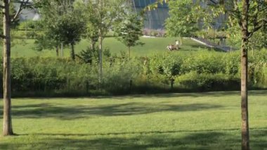 Şehir parkının yeşil çimlerinden başlayan kameranın dikey hareketi ve arka planda jöleli bir gökdeleni ortaya çıkarıyor. İnsanlar çimenlerde oturuyor. yukarı eğ