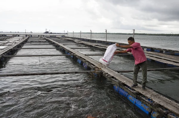 在Pulau Ketam附近近海开阔水域养鱼场喂鱼的不明身份男子 在Pulau Ketam附近的马来西亚亚洲养鱼场 — 图库照片