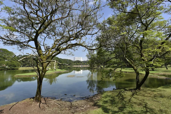 Okouzlující Pohled Taman Tasik Taiping Perak Malajsie Okouzlující Pohled Taiping — Stock fotografie