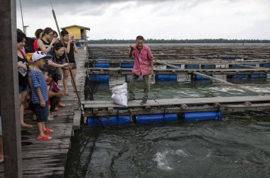 Kimliği belirsiz ziyaretçiler, Pulau Ketam; Malezya - Asya Malezya 'da Pulau Ketam çevresindeki açık deniz balık çiftliğinde beslenen balıkların keyfini çıkarıyorlar.