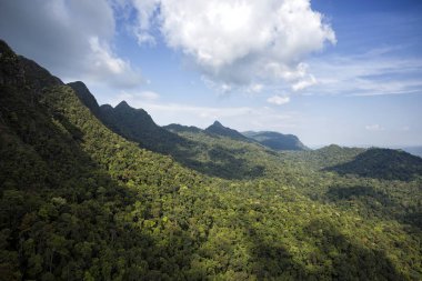 Malezya 'nın Langkawi Adası' ndaki Yağmur Ormanı Machincang Dağı