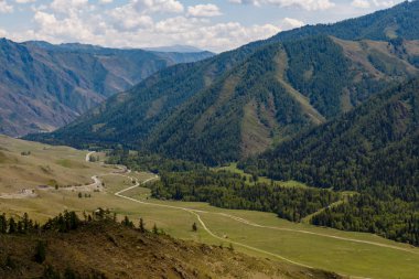 Altay dağ ve orman manzaralı