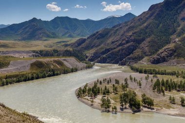 Altay dağ ve orman manzaralı
