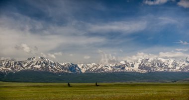 Altay dağ ve orman manzaralı