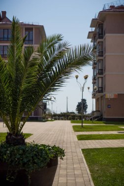 Sochi şehir görünümü değinir