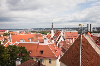 Kırmızı eski şehir Tallinn çatılar