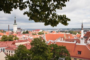 Kırmızı eski şehir Tallinn çatılar