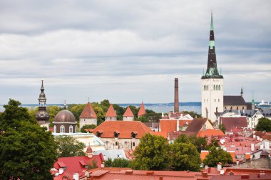 Kırmızı eski şehir Tallinn çatılar