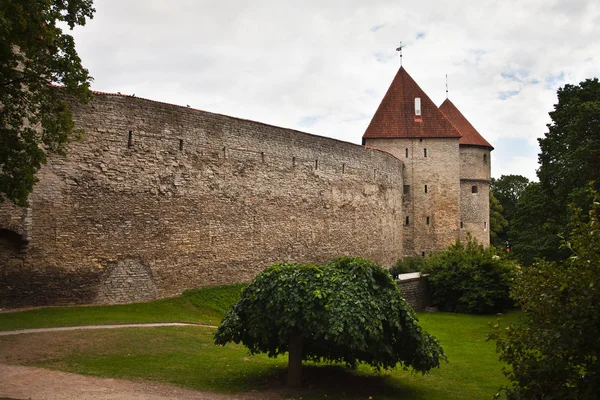 Rode Daken Torens Van Oude Stad Tallinn — Stockfoto