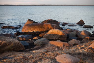  Baltık Denizi kıyısında yaz içinde