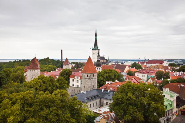 Piros Tetők Régi Város Tallinn — Stock Fotó