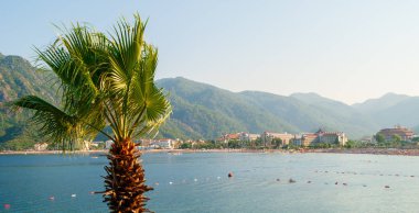 Turistik şirket kavramı: palmiye ağacı ilk plan ve arka planda şehir ve deniz ve dağ ile güzel manzara