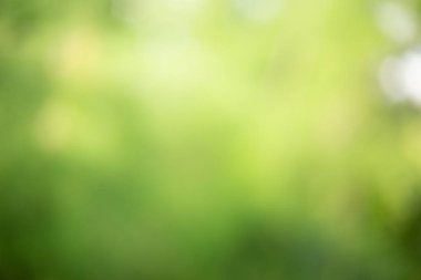 Bulanık yeşil arka plan yaz teması ve doğa