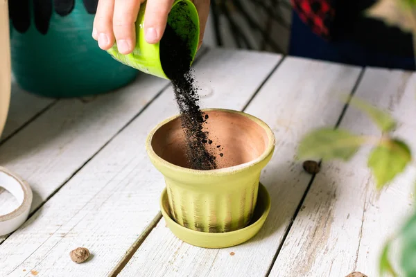 Bloemist Transplanteerde Een Plant Giet Gemalen Een Pot — Stockfoto