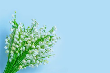 Bahar manzarası. çiçekleri vadideki zambak