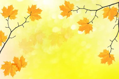 sonbahar manzara ile parlak renkli yaprak. Pastırma yazı.