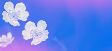 Parlak sarı çiçekli düğün çiçekleri arka planda yaz manzarası.