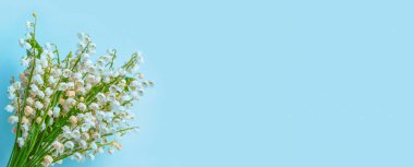 Bahar manzarası. çiçekleri vadideki zambak