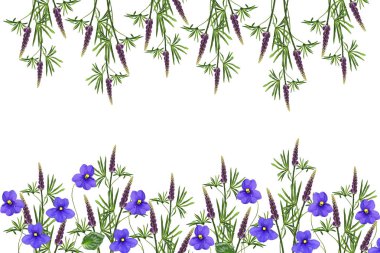 lupines beyaz bir arka plan üzerinde renkli çiçekler