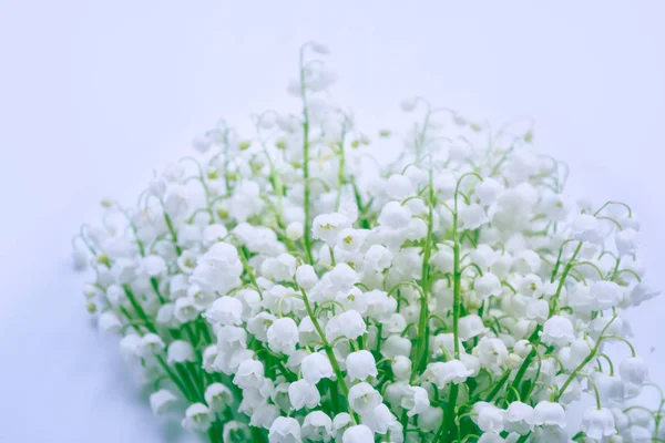 春の風景 バレーの花ユリ — ストック写真