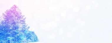 Karla kaplı ağaçlarla donuk kış ormanı.