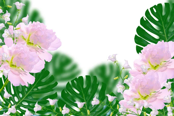 Квітковий Природний Фон Яскравих Барвистих Квітів — стокове фото