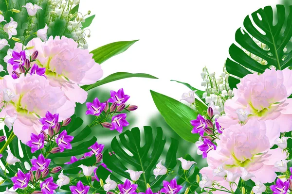 Floral Natuurlijke Achtergrond Van Heldere Kleurrijke Bloemen — Stockfoto