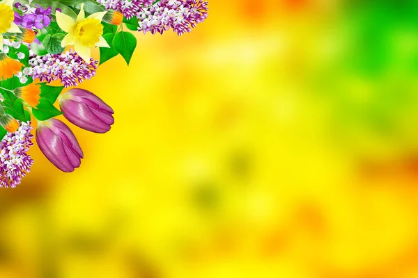 Flores Brillantes Coloridas Fondo Del Paisaje Primavera —  Fotos de Stock