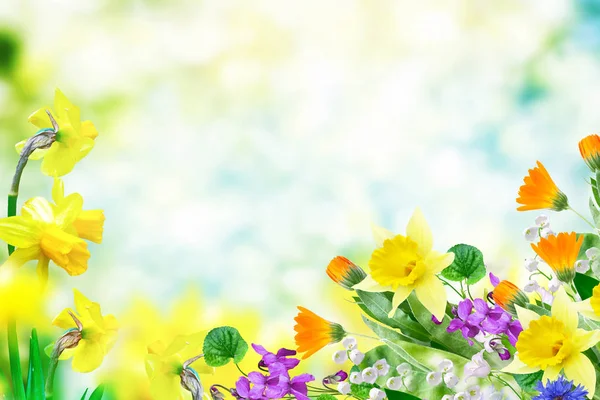 Světlé Barevné Květiny Pozadí Jarní Krajina — Stock fotografie
