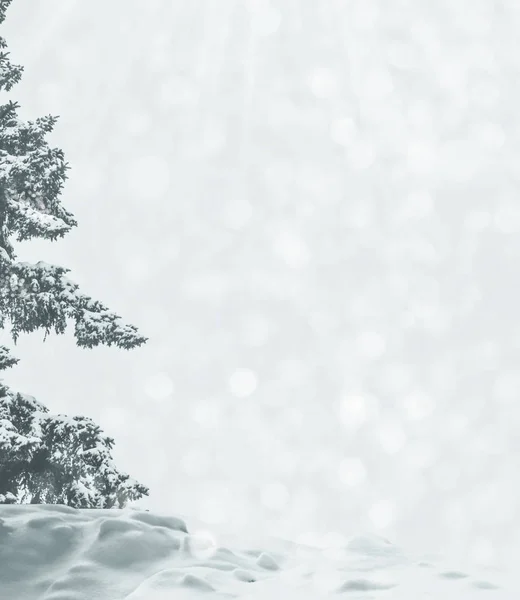 Bevroren Winterbos Met Besneeuwde Bomen — Stockfoto