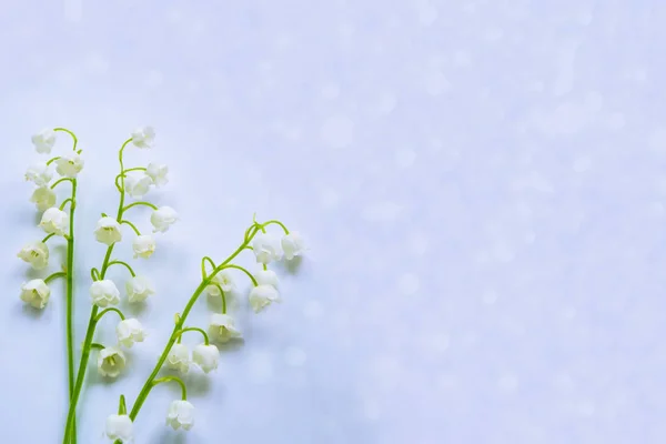 Paesaggio Primaverile Giglio Dei Fiori Della Valle — Foto Stock